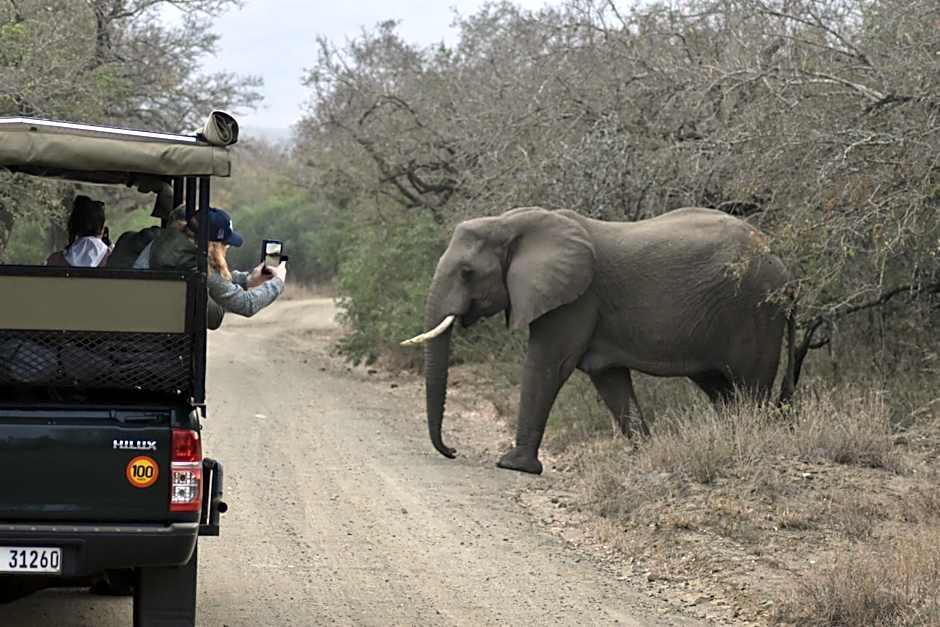 The Baobab Bush Lodge and Villa