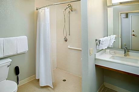 King Room with Bathtub and Sofa Bed - Mobility Access