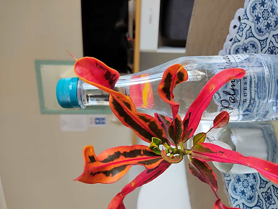 Palm Beach Guesthouse