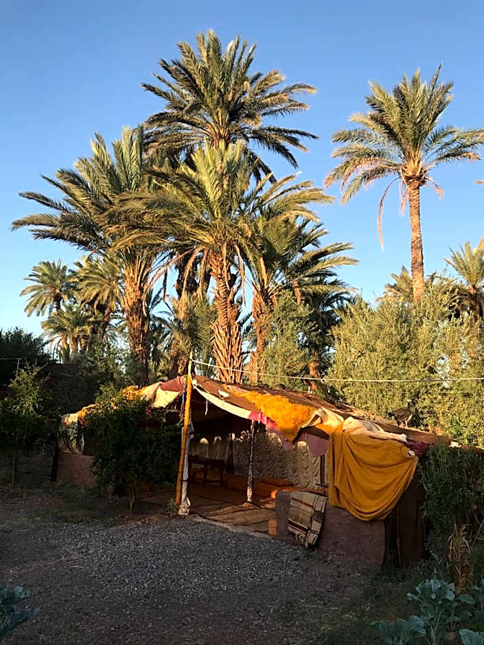 Bivouac Lot Of Stars