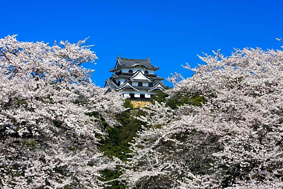 Dantokan Kikunoya