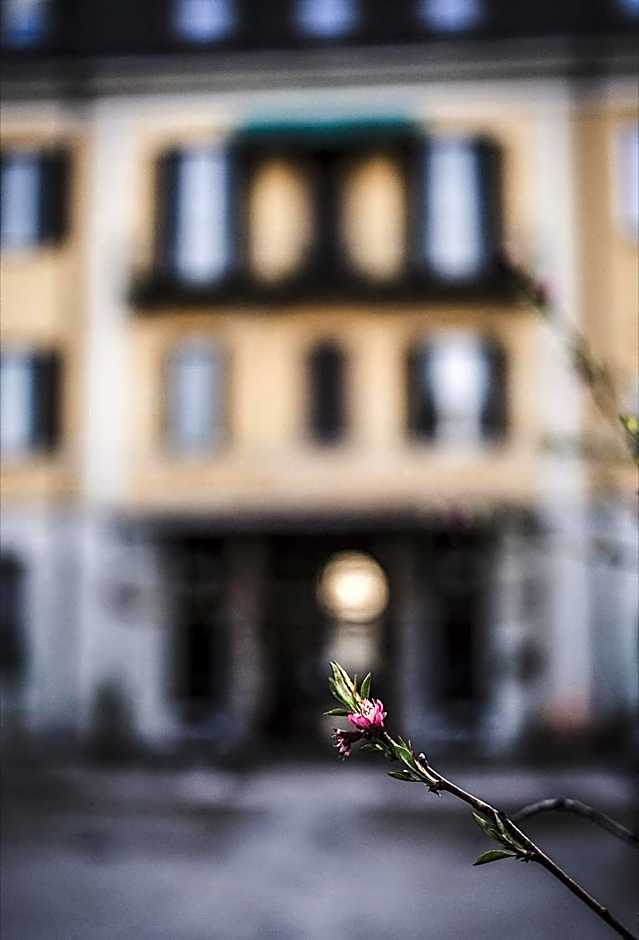 Hotel Villa Aurora