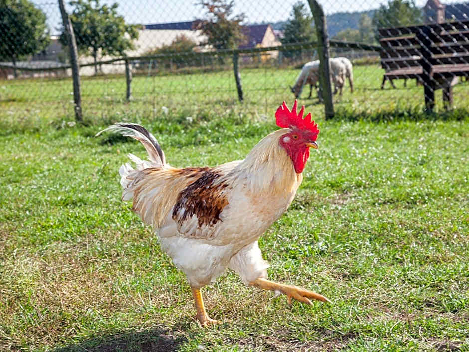 Landhaus Alte Schmiede