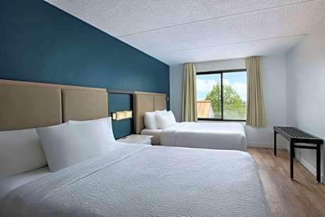 Studio, Multiple Beds (2 Queen Beds and 1 Double Sofa Bed)