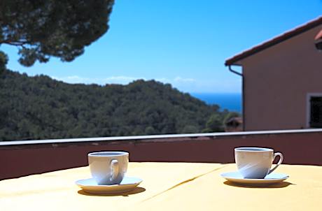 Nonna Maria, tra mare e ulivi