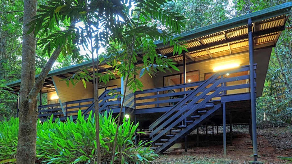 Chambers Wildlife Rainforest Lodges