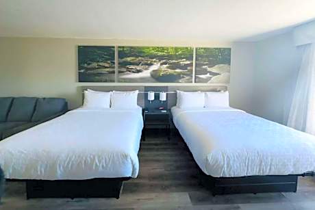 Double Room with Two Double Beds