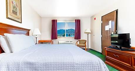 King Room - Pet Friendly