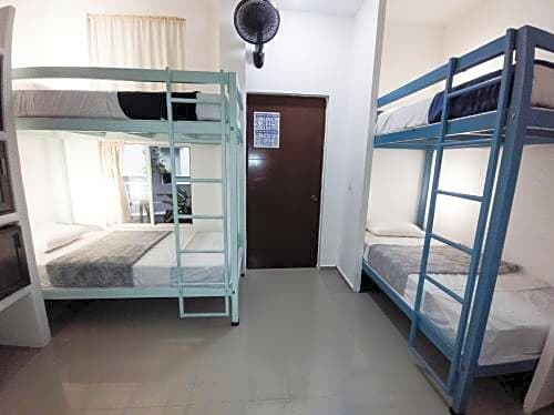 Suites & Hostel 2 con 5 Av