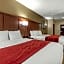 Comfort Inn & Suites Montgomery East Carmichael Rd