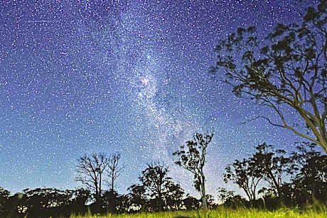 Scribbly Farm, Boutique Southern Highlands Accommodation