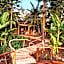 Foresight Eco Lodge & Safari
