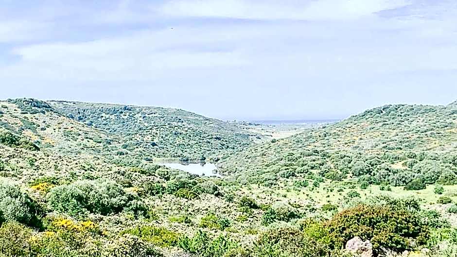 Residence Hotel Monte Ricciu