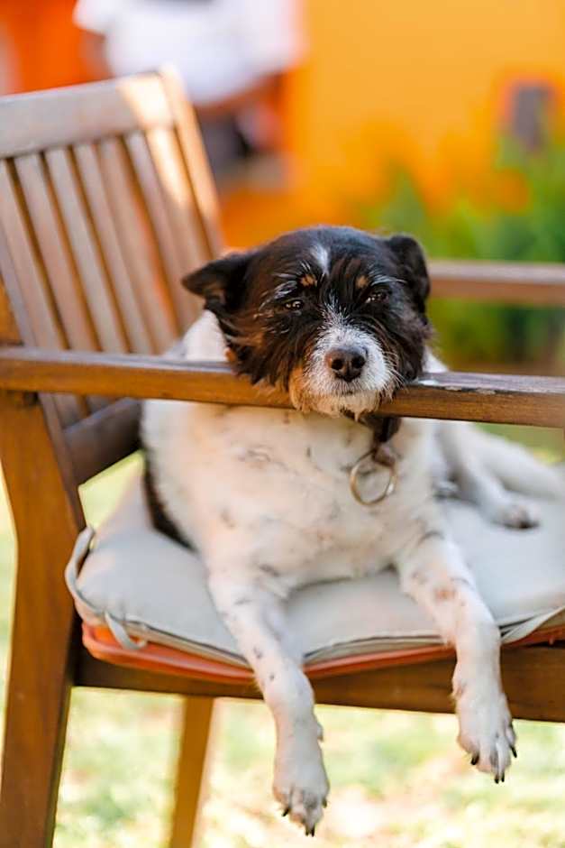 Peach Hostel & Suites