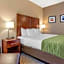 Comfort Inn & Suites Edgewood