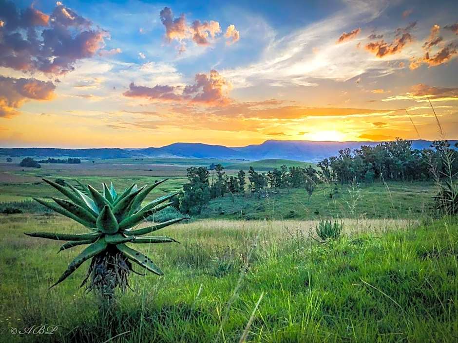 Grey Goose Game Lodge