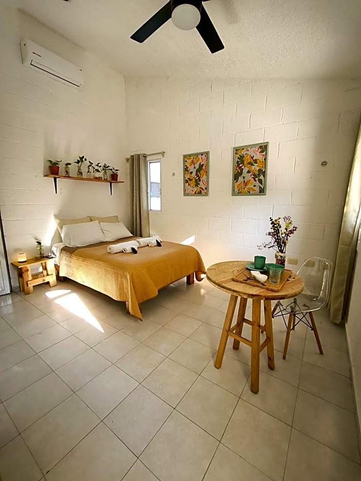 Casa Palmita