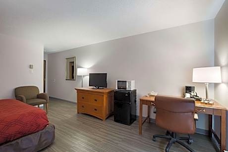 1 King Bed, Suite, No Smoking, Accessible Room