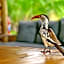 Zazu Private Bush Lodge
