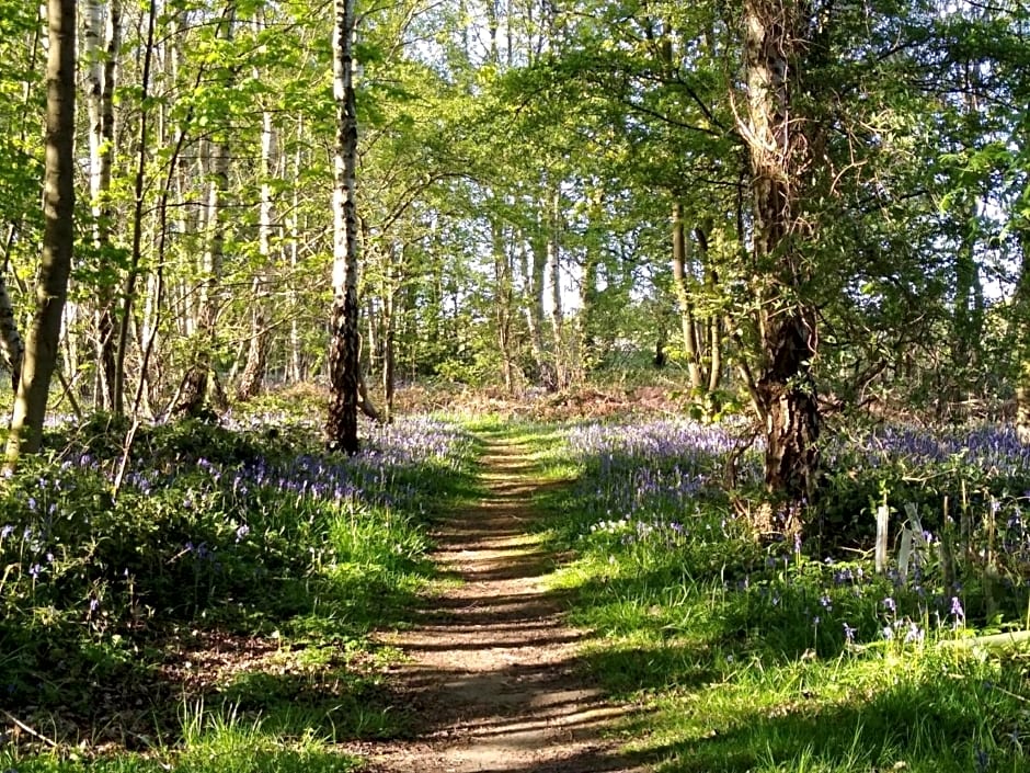 Hollicarrs - Lilypad Lodge