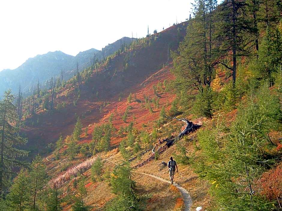 Logis Hôtel Spa la Cascade