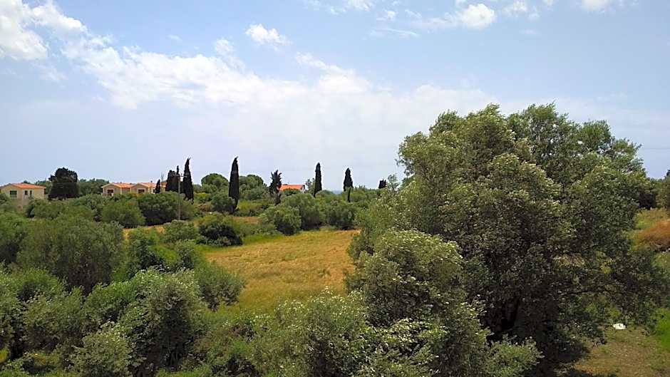 Casa De Rosa Apartments & Studios