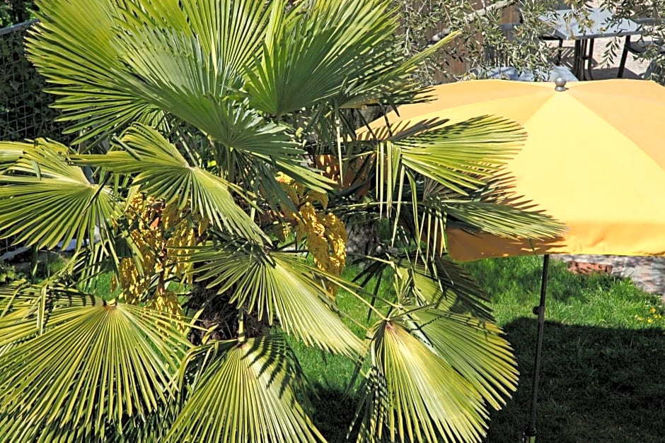 Hotel Jardis