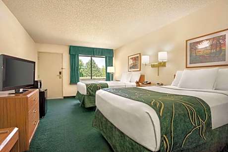 Double Room with Two Double Beds - Non-Smoking