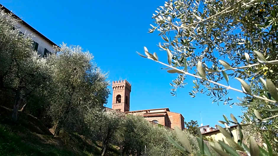 Antica Casa Dei Rassicurati