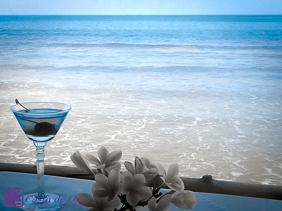 Costa de Oro Beach Hotel