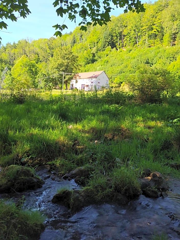 La mansarde aux digitales