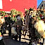 BnB chezlise