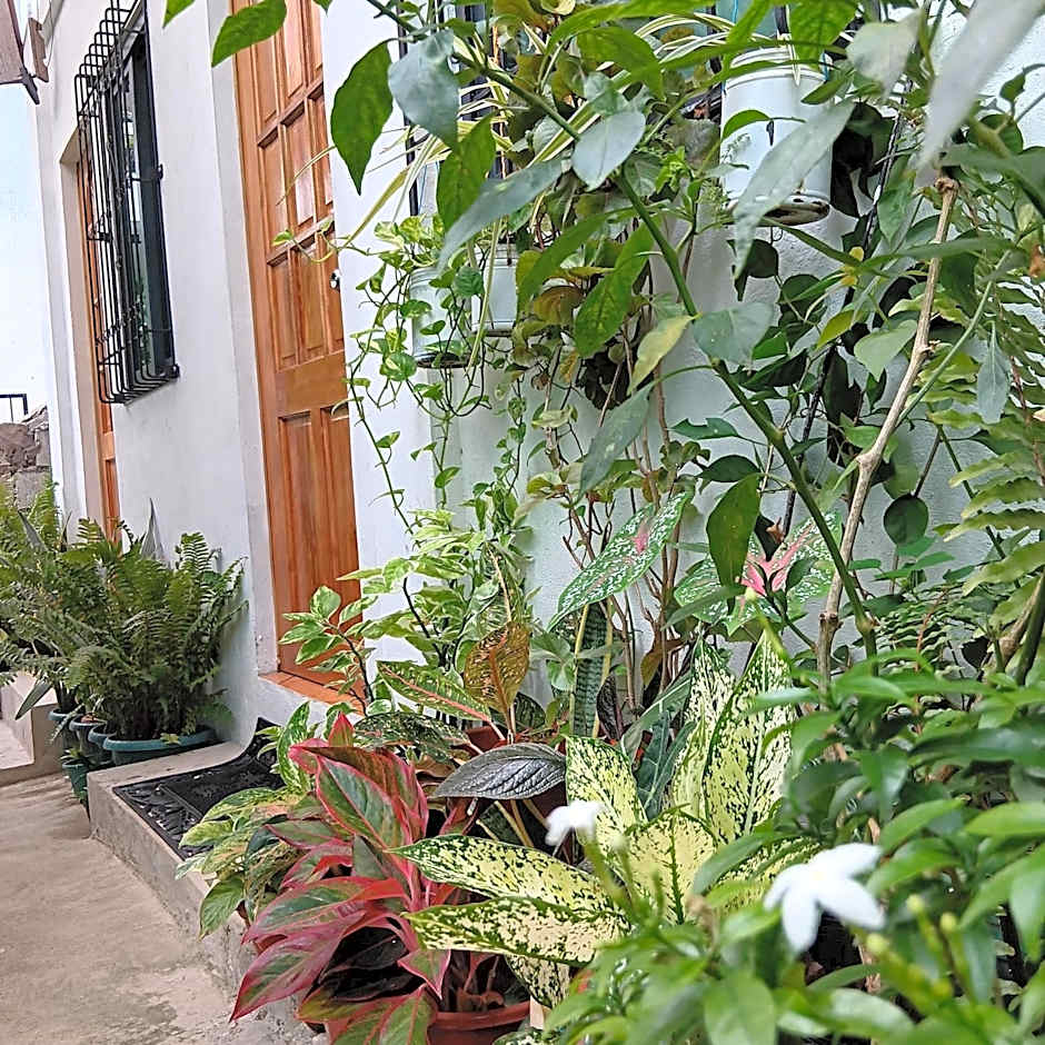 Susing Seaside Guesthouse