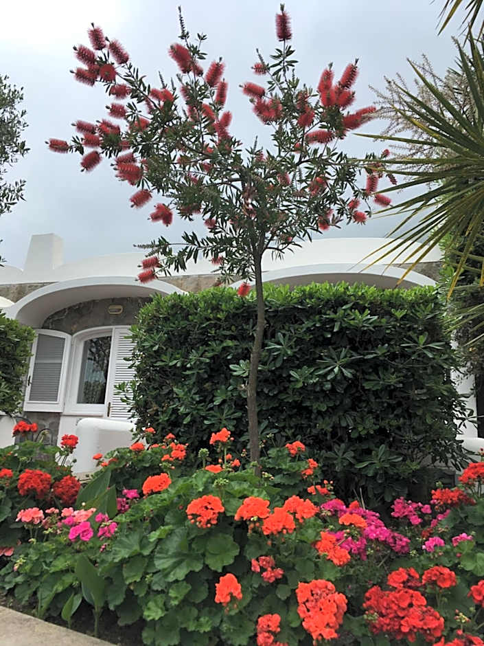 Poggio Aragosta Hotel & Spa