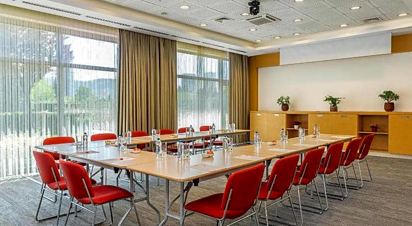 Ibis Bursa