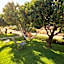 B&B Piccolo Vigneto