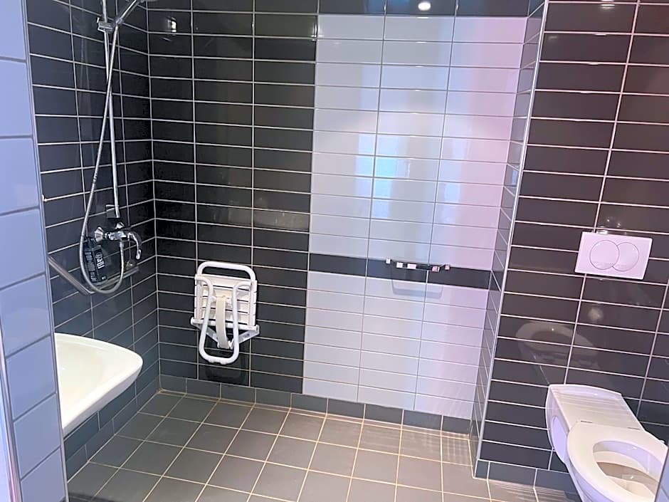 Ibis Budget Roanne Hotel