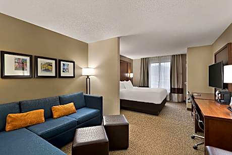 1 Bedroom Suite