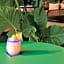 Hotel Indigo Williamsburg - Brooklyn By IHG