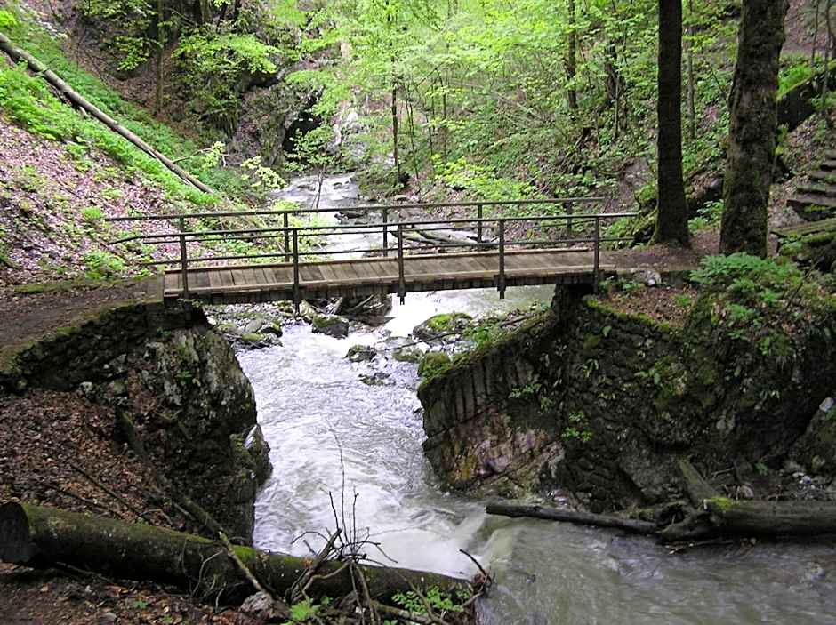 Pansion Bijela Ruža - a la carte