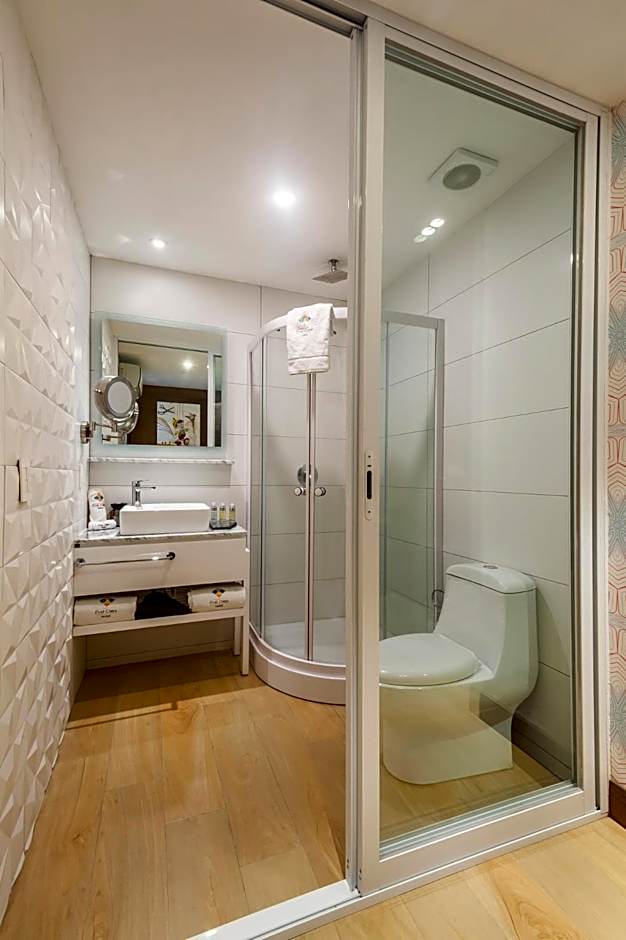 FCH Hotel Providencia - Exclusive For Adults