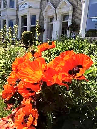 Wheatlands Lodge Hotel