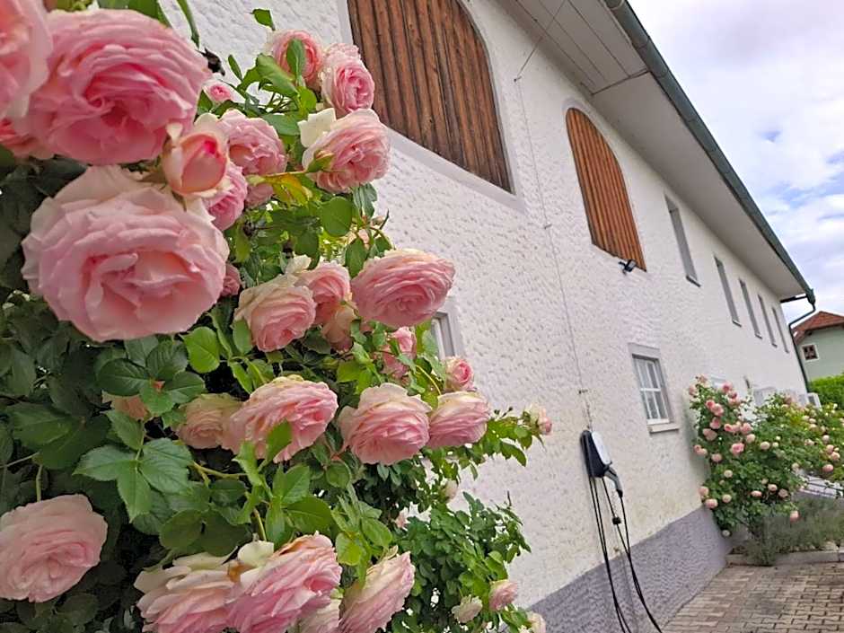 Bierhotel Ranklleiten Almtal