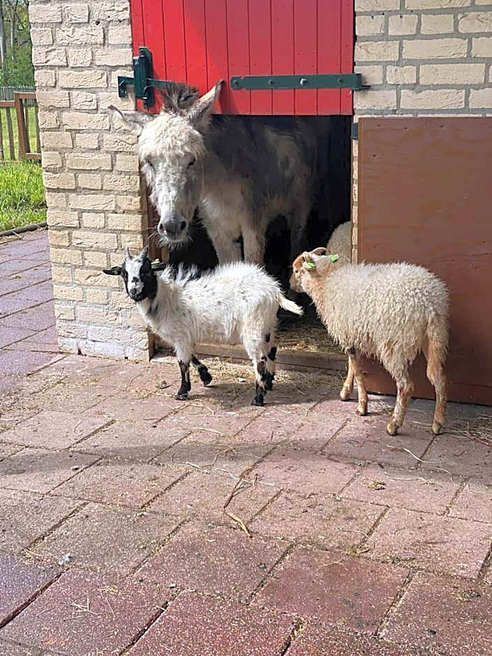 Het Huys Ewijk mooi luxe en een laadpaal