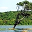 Athena Lake by Seedevi
