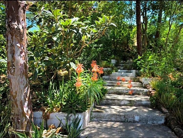 La Barranca de la Barca