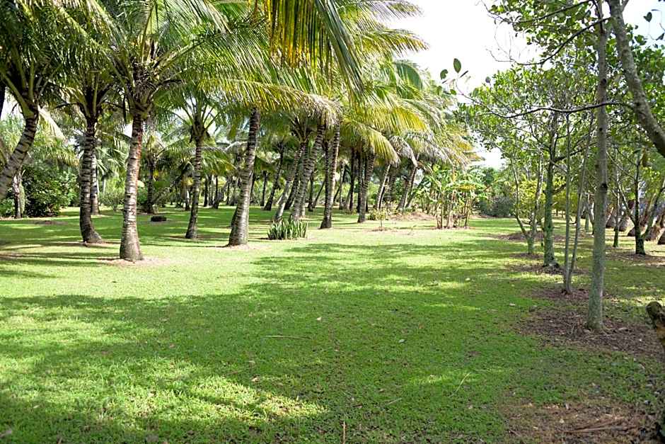 Domaine des Oiseaux Réunion