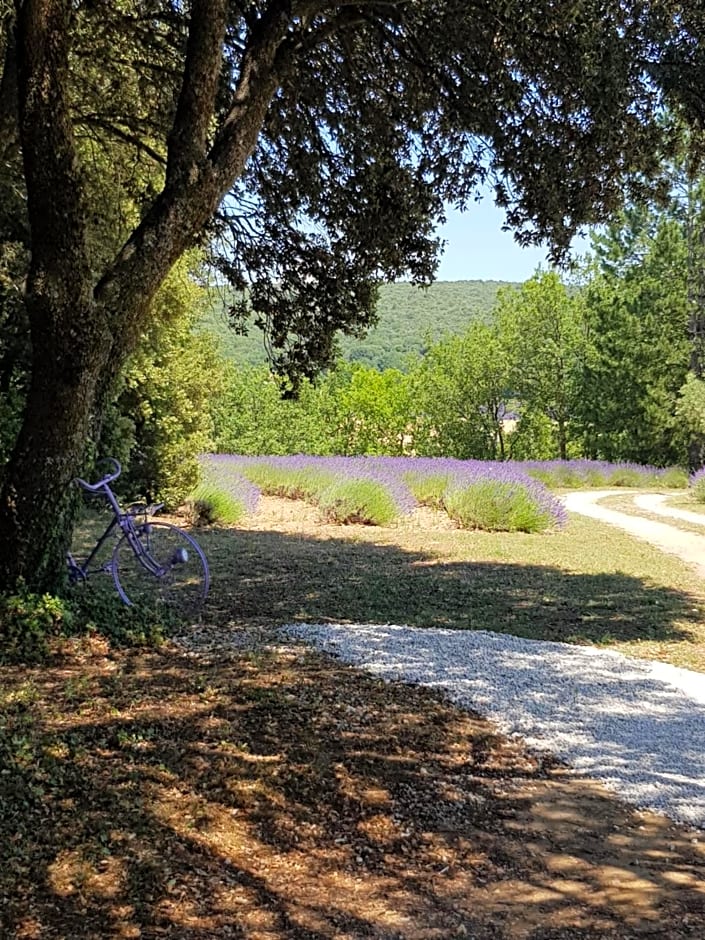 Les Néfliers chambre d'hôtes