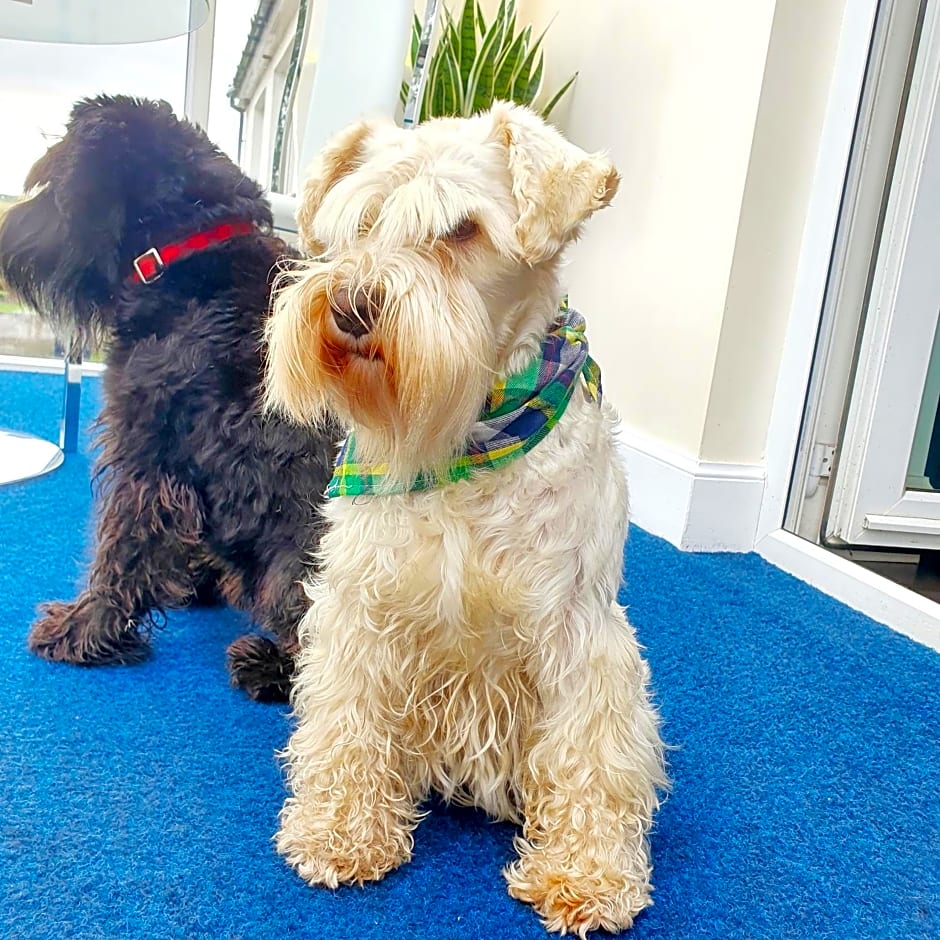 The Green Monkey Lux Suite at The Grumpy Schnauzer B&B Private Hot Tub, Gym, Breakfast, Stunning!