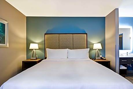 1 King Bed Studio Suite Nonsmoking